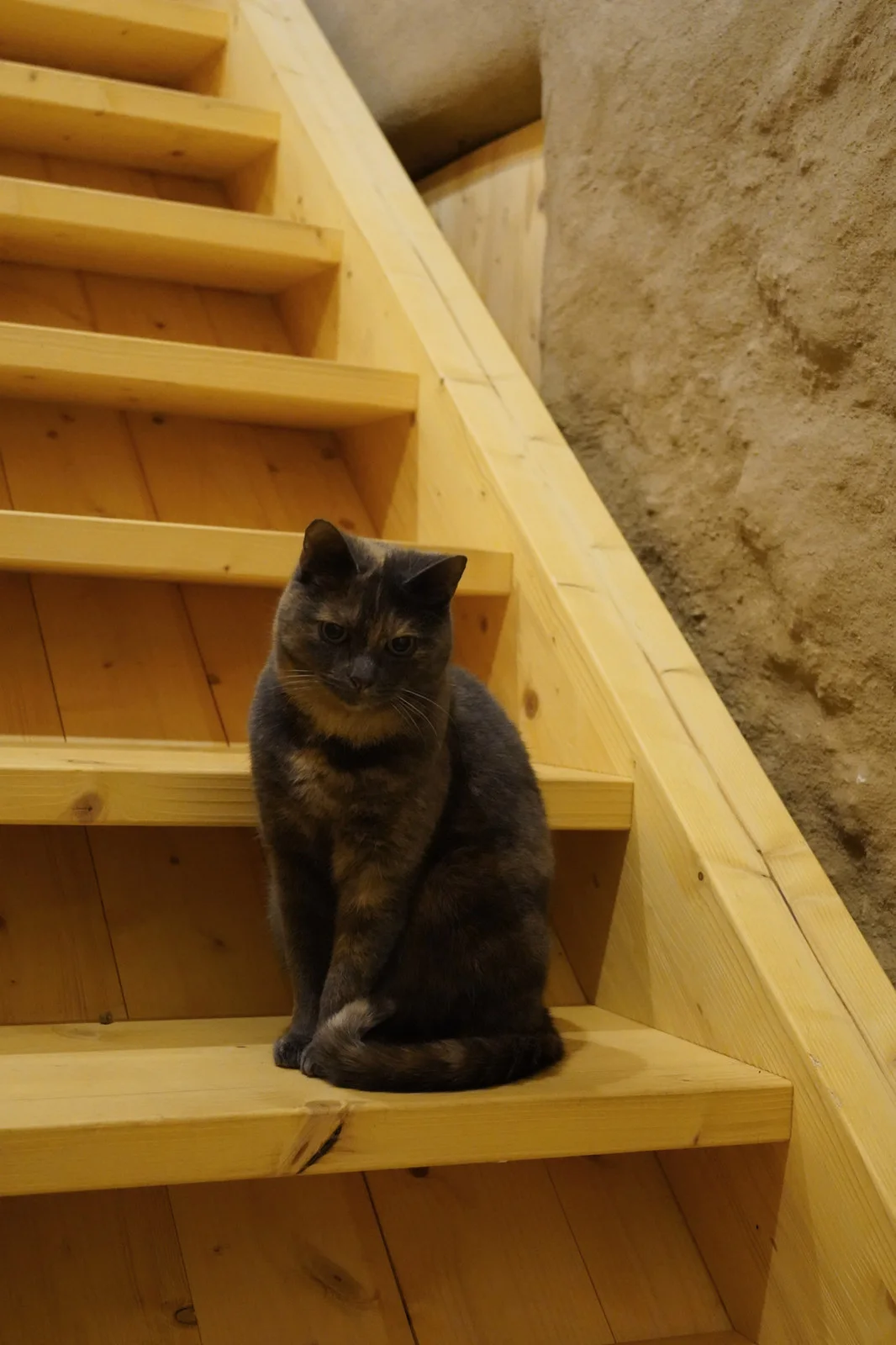 Offener Wohn- und Essbereich mit Holzdecke